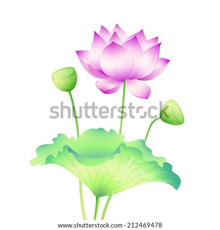 Artist1704's Portfolio on Shutterstock