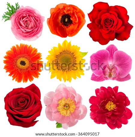 sunflower latin singles Start meeting singles in sunflower today with our free online personals and free 100% free online dating in sunflower, ms sunflower latin singles. sunflower latin singles Start meeting singles in sunflower today with our free online personals and free 100% free online dating in sunflower, ms sunflower latin singles.