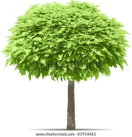 robert_s's "Tree" set on Shutterstock