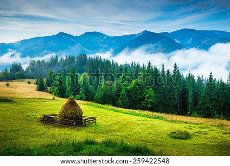 stock-photo-amazing-mountain-landscape-with-fog-and-a-haystack-259422548.jpg