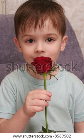 The <b>nice boy</b> with a rose in a hand - stock photo - stock-photo-the-nice-boy-with-a-rose-in-a-hand-8589502