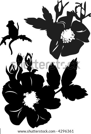 Alberta Wild Rose Stock Photos, Images, & Pictures | Shutterstock