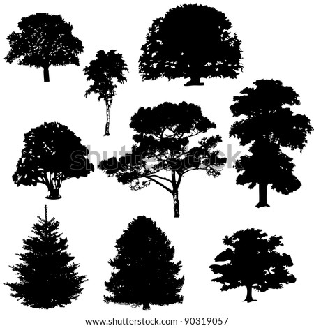 Tree Silhouette Stock Photos, Images, & Pictures | Shutterstock