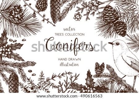 Vintage design for greeting card or invitation for Christmas celebration. Vector frame with hand drawn conifers: pine, spruce, cedar, cypress, fir, larch, juniper. Merry Christmas template
Vintage design for greeting card or invitation for Christmas celebration. Vector frame with hand drawn conifers: pine, spruce, cedar, cypress, fir, larch, juniper. Merry Christmas template