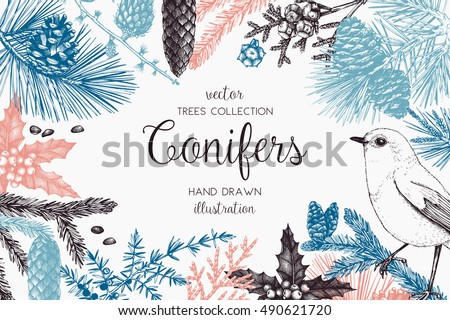 Christmas greeting card or invitation design. Vector frame with hand drawn conifers sketch. Vintage background with pine, spruce, cedar, cypress, fir, larch and juniper illustration. Christmas greeting card or invitation design. Vector frame with hand drawn conifers sketch. Vintage background with pine, spruce, cedar, cypress, fir, larch and juniper illustration.