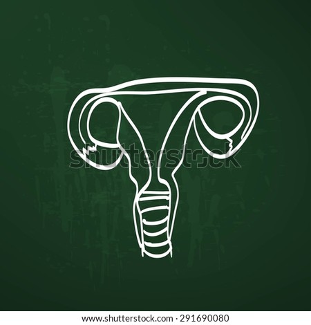 Female+Internal+Organs+Diagram Female Internal Organs Diagram Stock Photos, Illustrations, and Vector ...