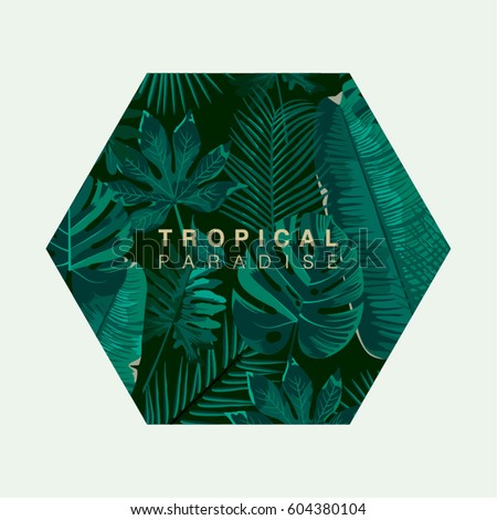 Trendy Summer Tropical Leaves Vector Design Trendy Summer Tropical Leaves Vector Design