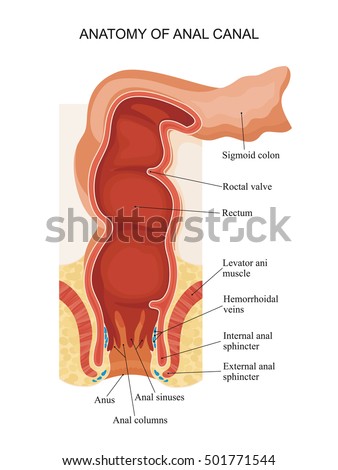 blackanal sex knul blackanal sex knul