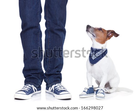 sneakers with dogs