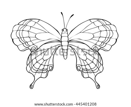 an analysis of white butterfly a novel Exciting new work by a florida state university research team has led to a novel molecular system that can take your temperature, emit white light, and. an analysis of white butterfly a novel Exciting new work by a florida state university research team has led to a novel molecular system that can take your temperature, emit white light, and.
