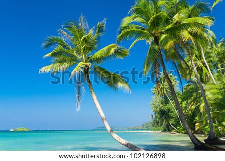 exotic relaxation paradise brothel exotic relaxation paradise brothel
