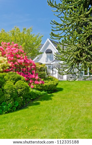 ... on the lawn in front of the house. Landscape design. - stock photo
