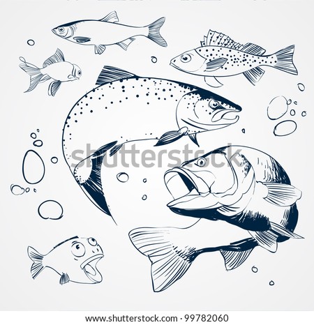 Pike Fish Stock Photos, Images, & Pictures | Shutterstock
