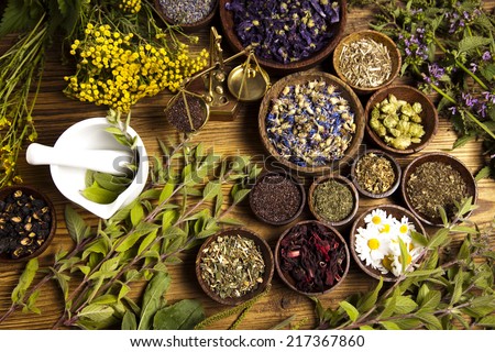 holistic medicine