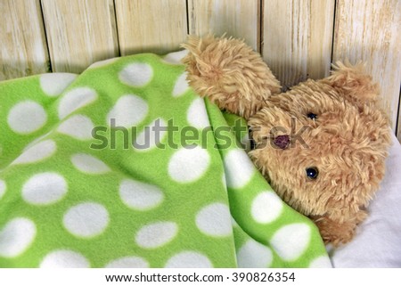 teddy bear under blanket