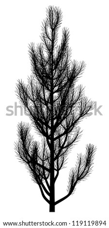 Illustration Two Firs Isolated On White Stock Vector 140077402