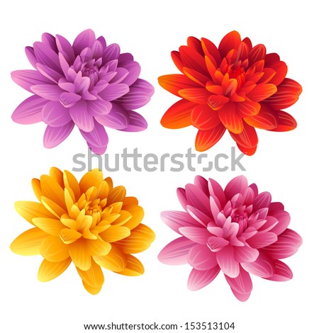 Character chrysanthemum Stock Photos, Illustrations, and Vector Art