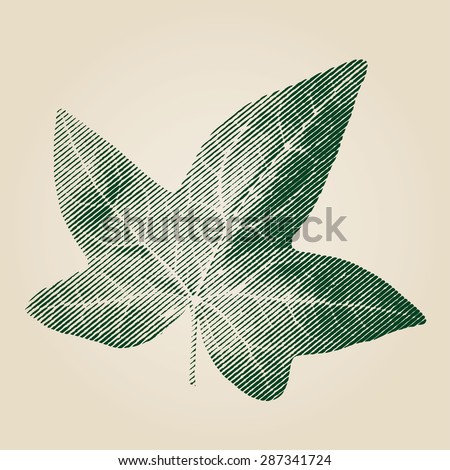 Ivy Leaves Stock Photos, Images, & Pictures | Shutterstock