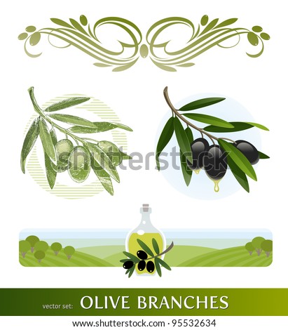 Vector set - olive branches - stock vector