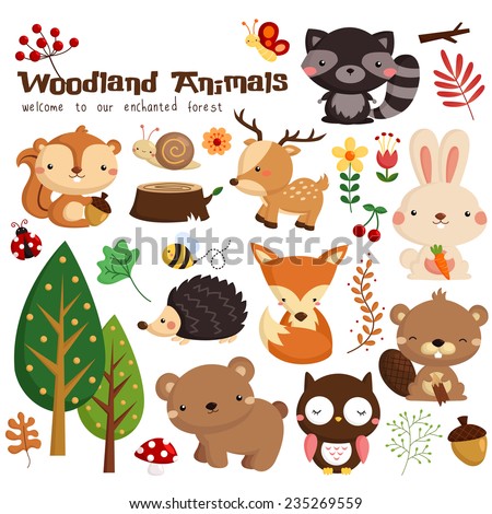 Woodland Animal Vector Set Stock Vector 235269559 - Shutterstock