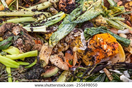 stock-photo-pile-of-organic-waste-background-255698050.jpg