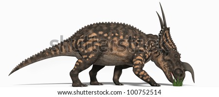 do triceratops eat meat