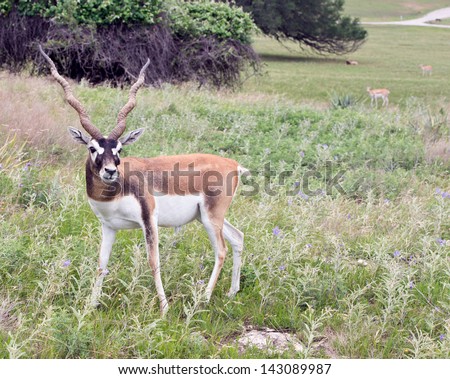 Fossil rim wildlife center discount coupons