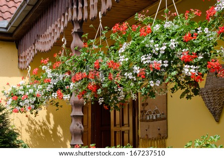 Row of several colourful flower baskets hanging on a porch filled with ...