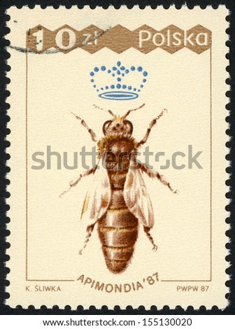 1987: post stamp printed in Poland (polska) shows image of queen bee 