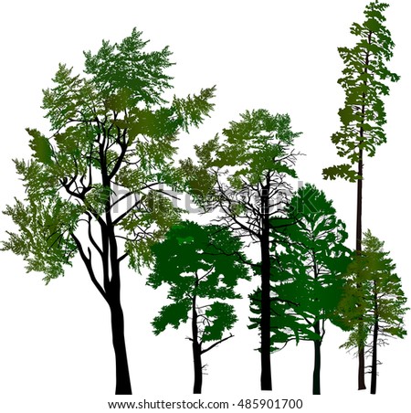 Set Four Trees Isolated Against Pure Stock Illustration 61784839