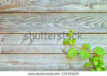 Garden shed Stock Photos, Illustrations, and Vector Art