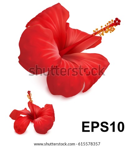 Hibiscus Stock Vectors, Images & Vector Art | Shutterstock