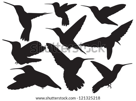 Download Hummingbird Wallpaper 240x320 | Wallpoper #8026