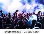 silhouettes of concert crowd in ...
