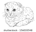 Кот британец раскраски Кот британец раскраски