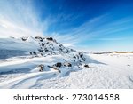 snow desert winter landscape in ...