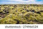 moss covered lava field...