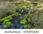 stream with moss covered rocks...
