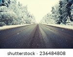 winter road and forest 