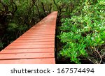 wood boardwalks mangrove forest