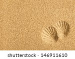 the shells imprinted on the sand