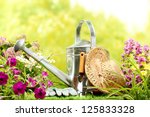 stock-photo-outdoor-gardening-tools-and-flowers-125833328.jpg