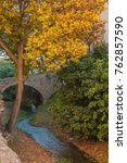 Small photo of A tree and a stone bridge over the stream in an ancient moat overgrown with bushes. A secluded spot in a touristy part of the city.