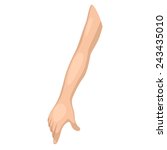Body Parts 8 Free Stock Photo - Public Domain Pictures