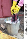 Small photo of Woman's hands in yellow rubber gloves who washes a floor-cloth in a metal bucket with soap water.