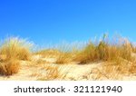 sandy dune with dune grass with ...