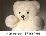 white teddy bear cute