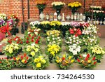 Grave With Flowers Free Stock Photo - Public Domain Pictures