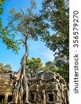 Small photo of Ta Prohm, built by the Khmer King Jayavarman VII as a Mahayana Buddhist monastery and university. Huge trees are blended into the walls, and rocks are hugging the giant roots