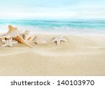 shells on sandy beach
